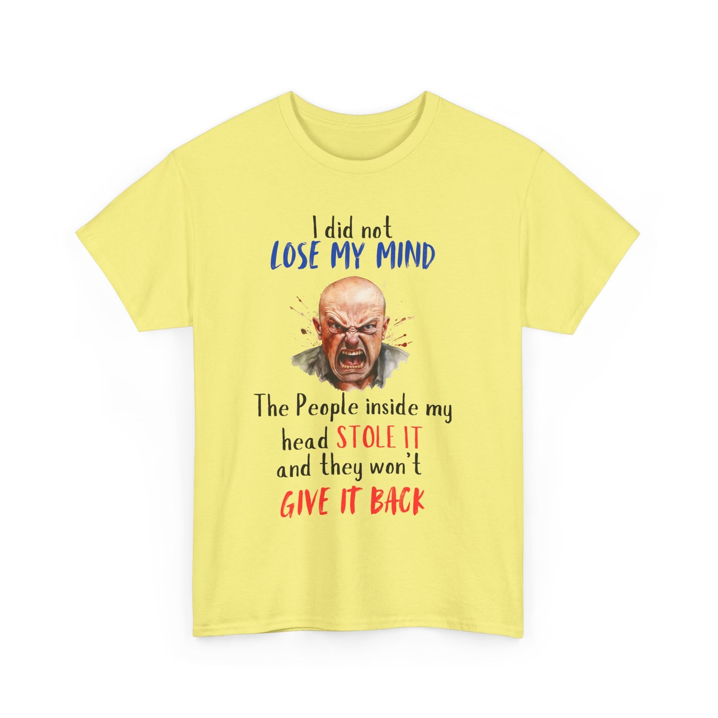 I Did Not Lose My Mind - Funny Unisex Heavy Cotton T-Shirt