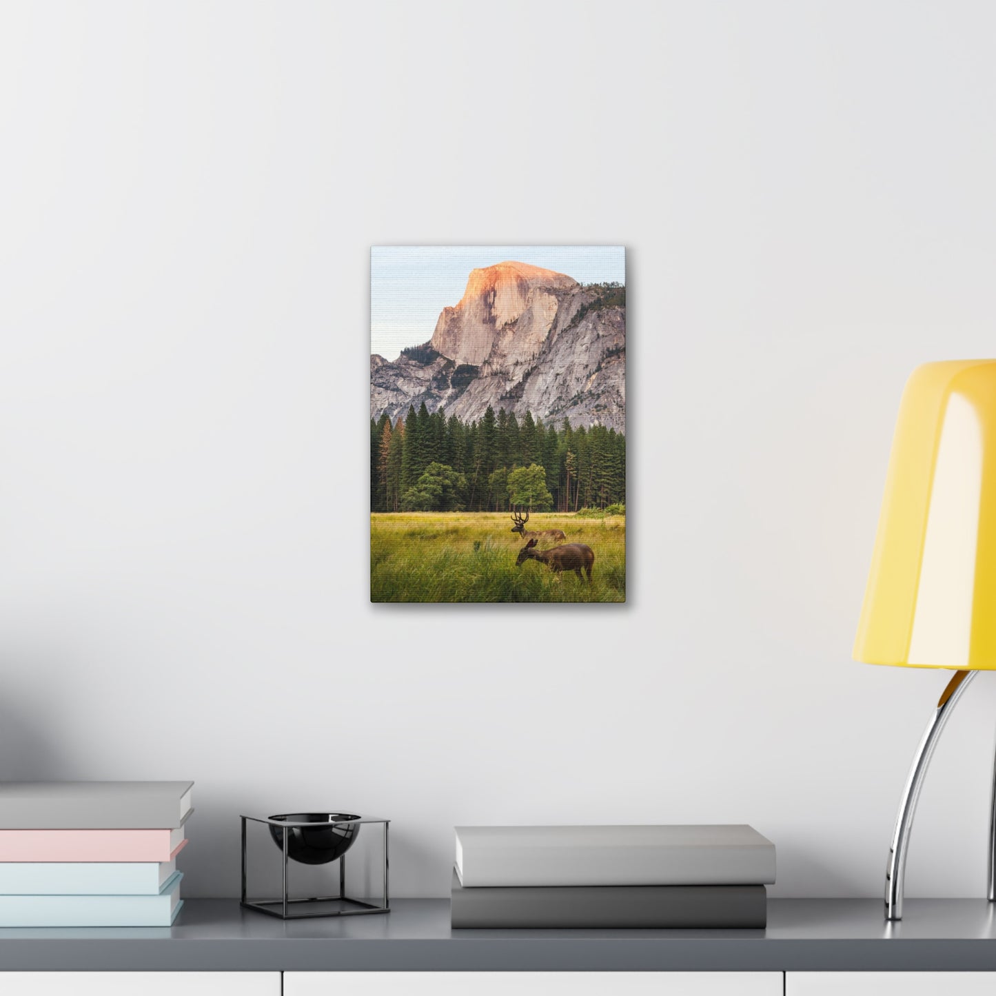 Half Dome Meadow - Canvas Stretched, 0.75"