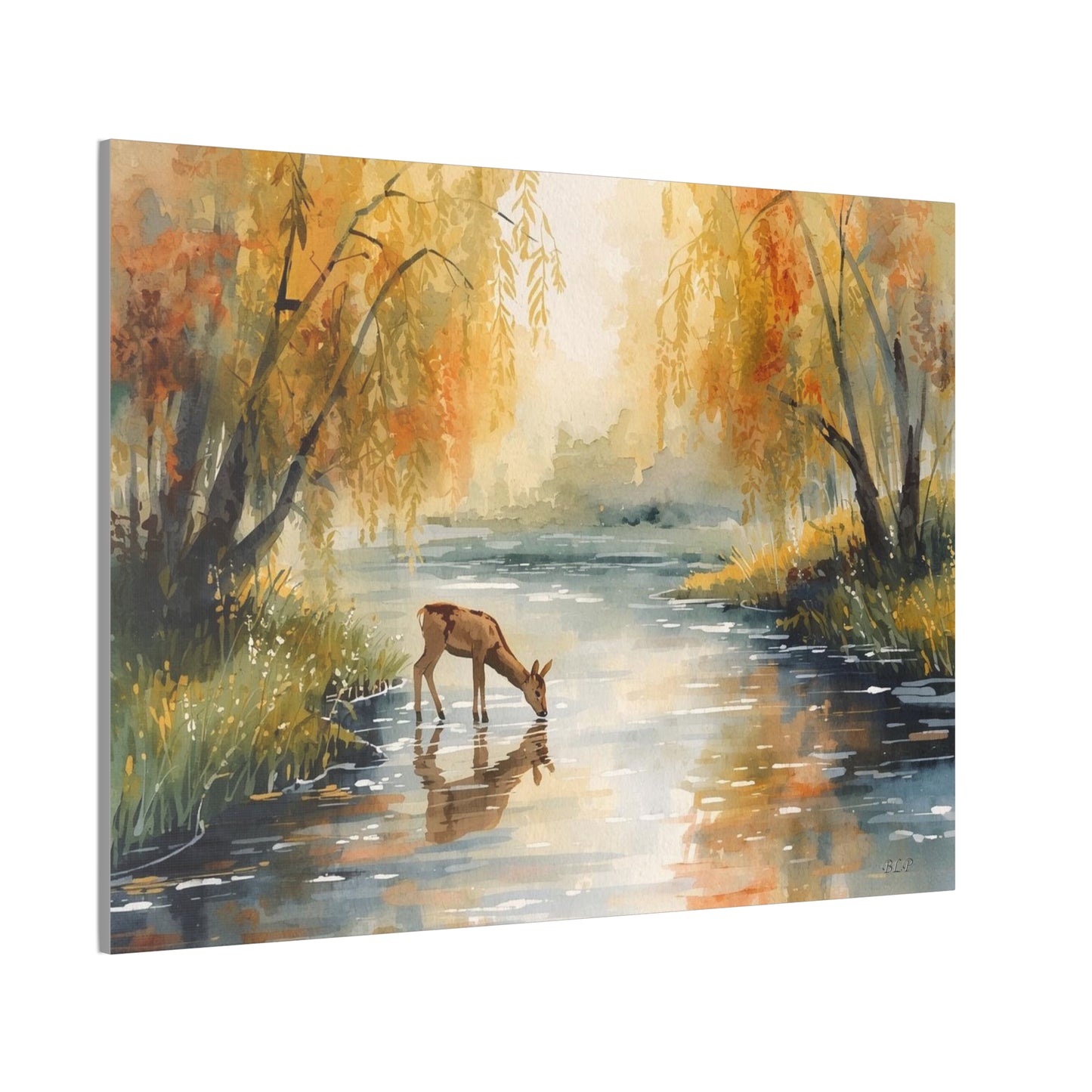 Deer Drinking - Canvas Stretched, 0.75" -  2026 Wall Art - Scenes