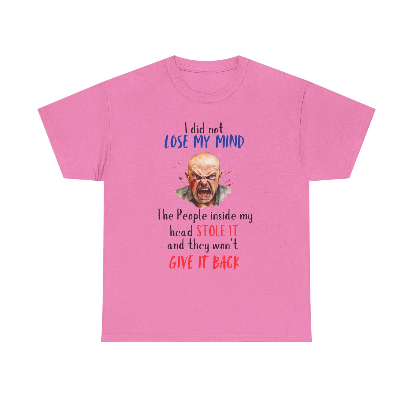 I Did Not Lose My Mind - Funny Unisex Heavy Cotton T-Shirt
