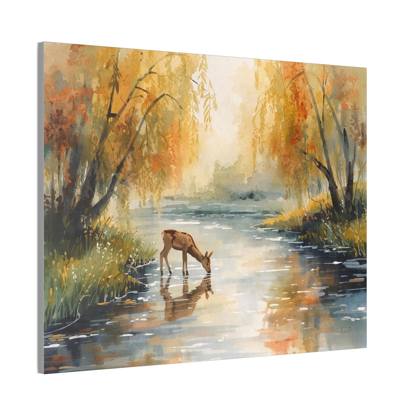Deer Drinking - Canvas Stretched, 0.75" -  2026 Wall Art - Scenes