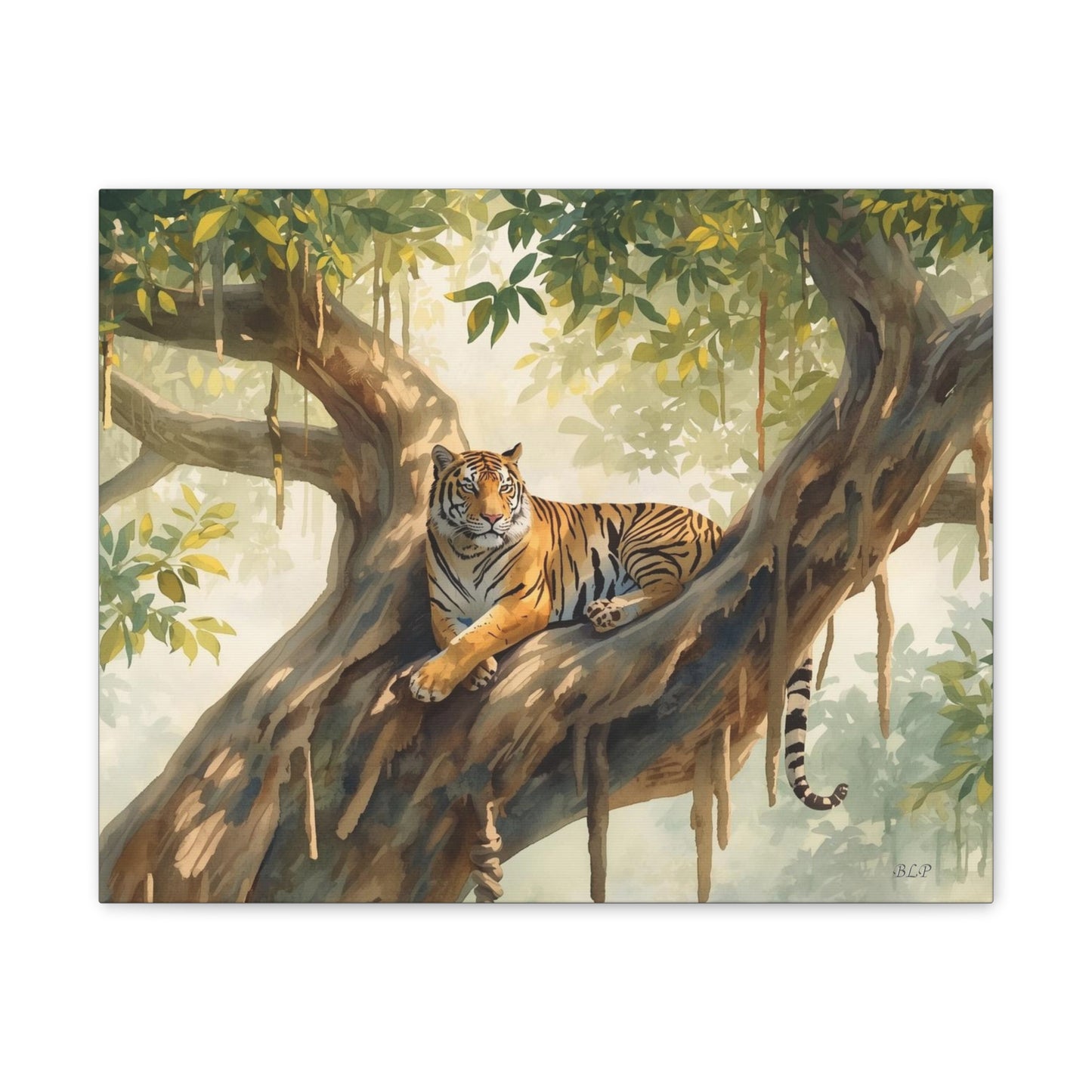 Lounging tiger - Canvas Stretched, 0.75" - 2026 Wall Art - Animals