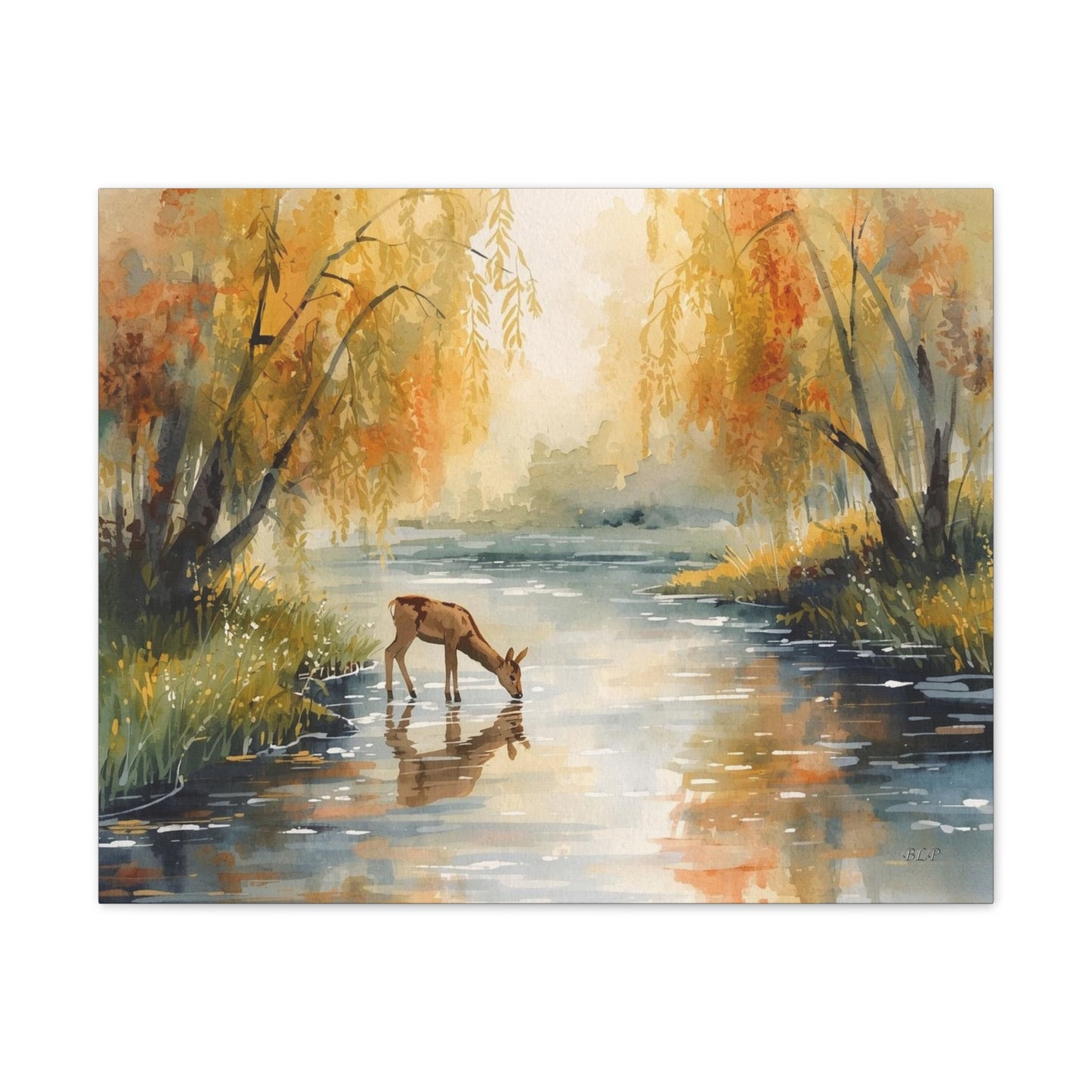 Deer Drinking - Canvas Stretched, 0.75" -  2026 Wall Art - Scenes