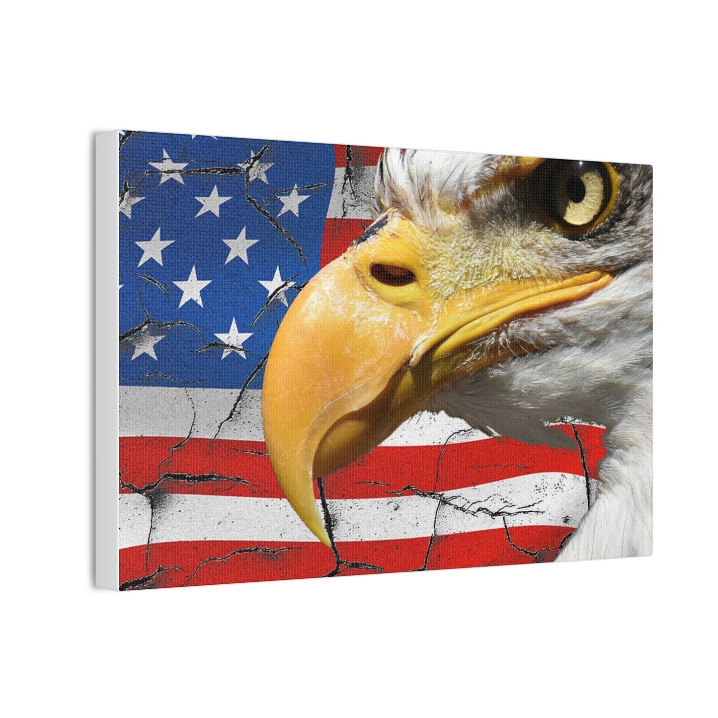 American Eagle - Canvas Stretched, 0.75" -  Military