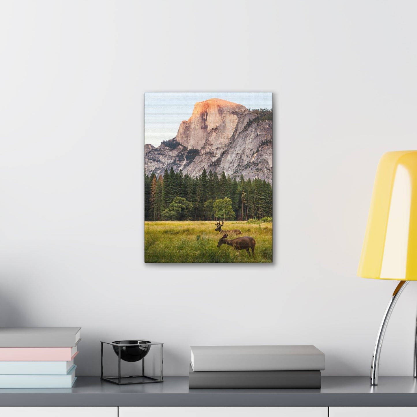 Half Dome Meadow - Canvas Stretched, 0.75"