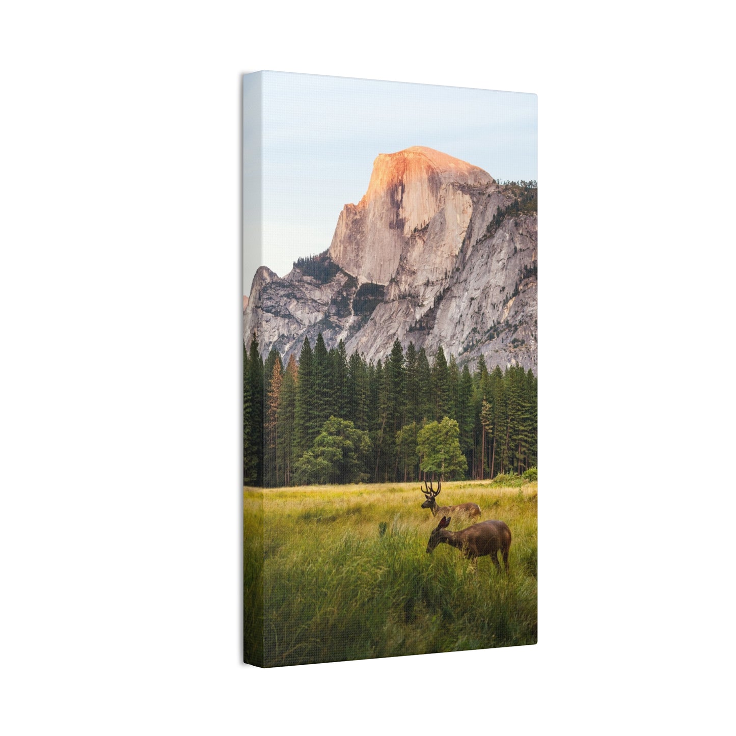 Half Dome Meadow - Canvas Stretched, 0.75"