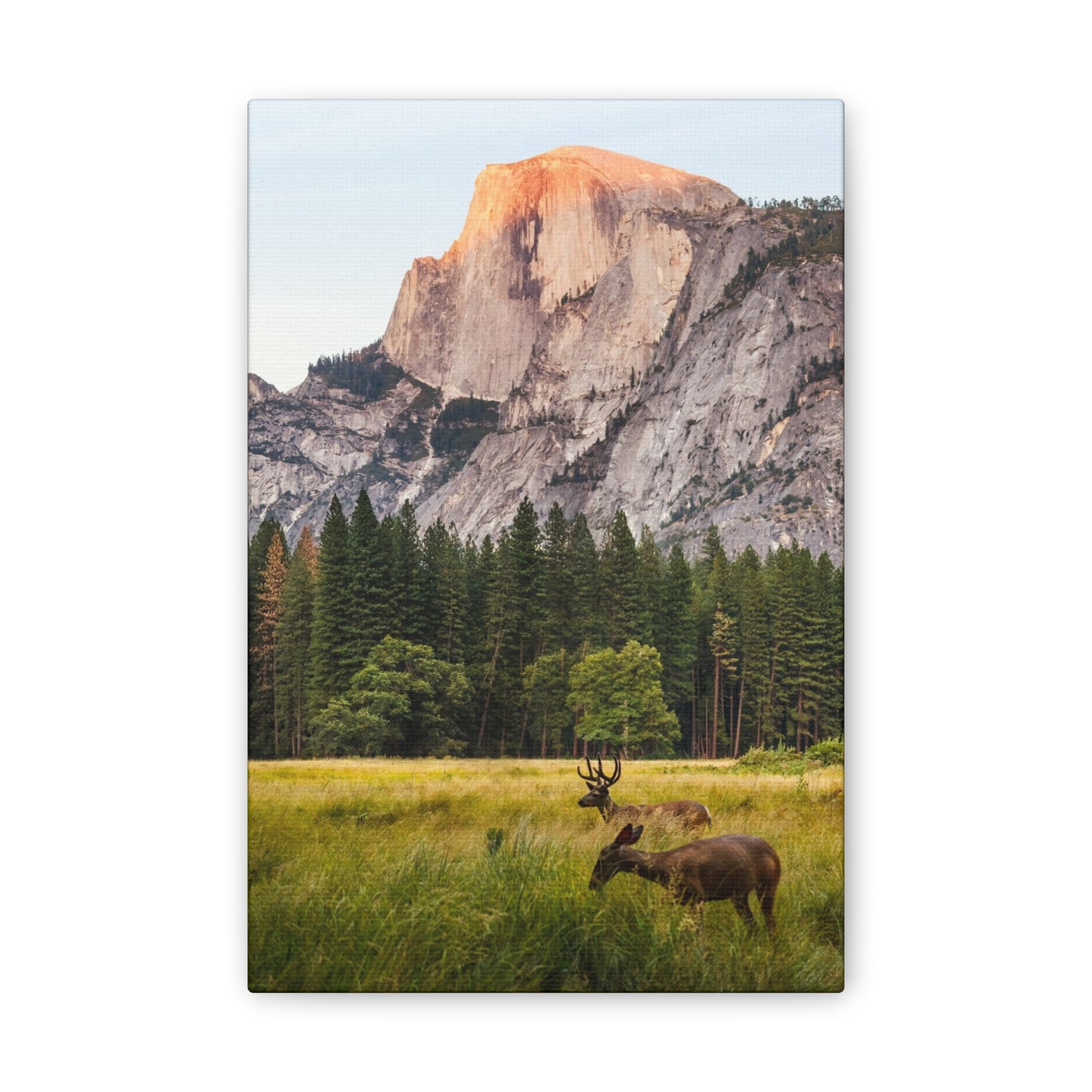 Half Dome Meadow - Canvas Stretched, 0.75"