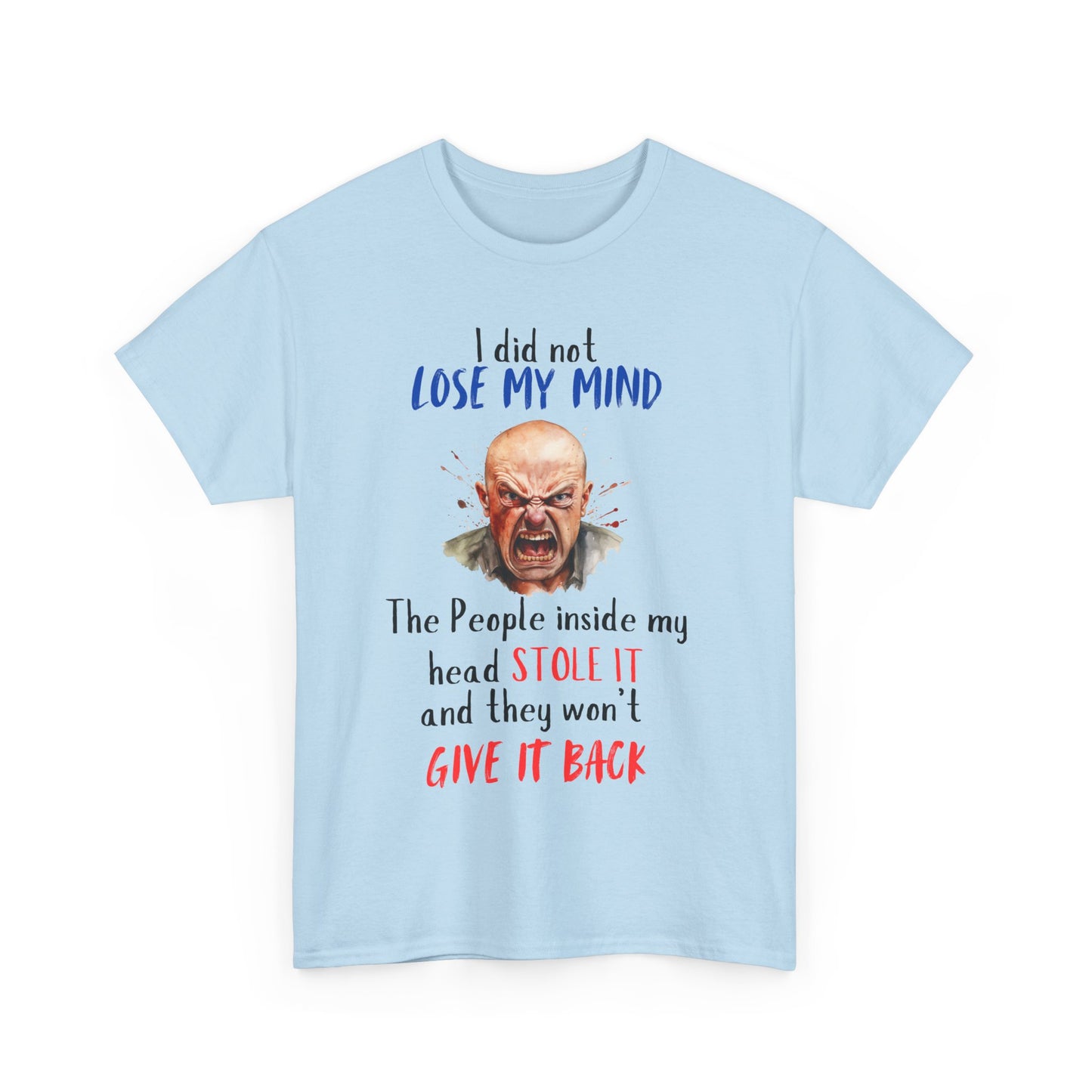 I Did Not Lose My Mind - Funny Unisex Heavy Cotton T-Shirt