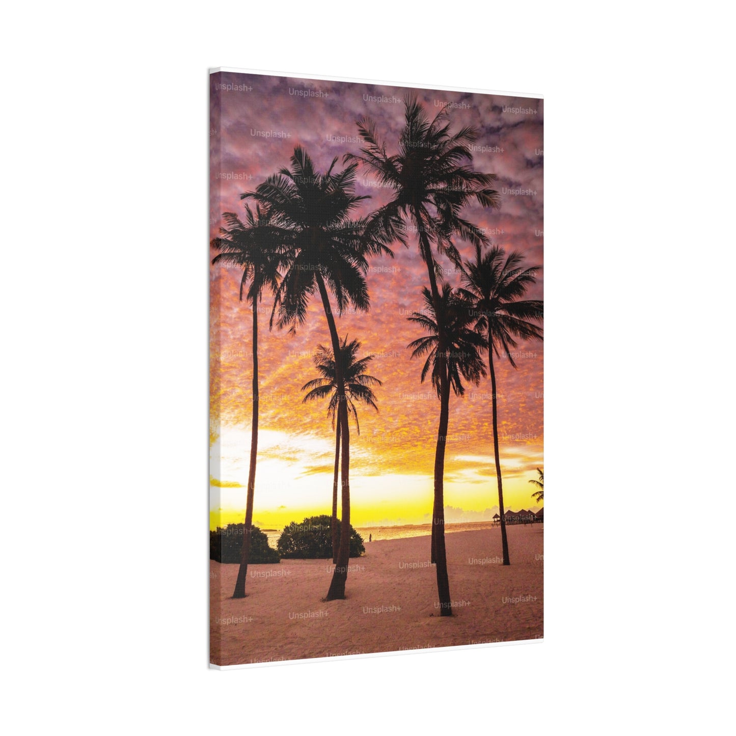 Palms - Canvas Stretched, 0.75"