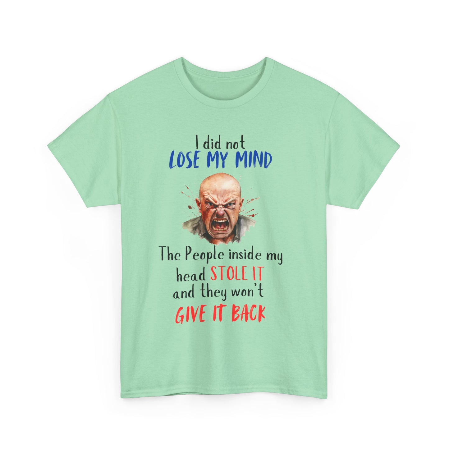 I Did Not Lose My Mind - Funny Unisex Heavy Cotton T-Shirt