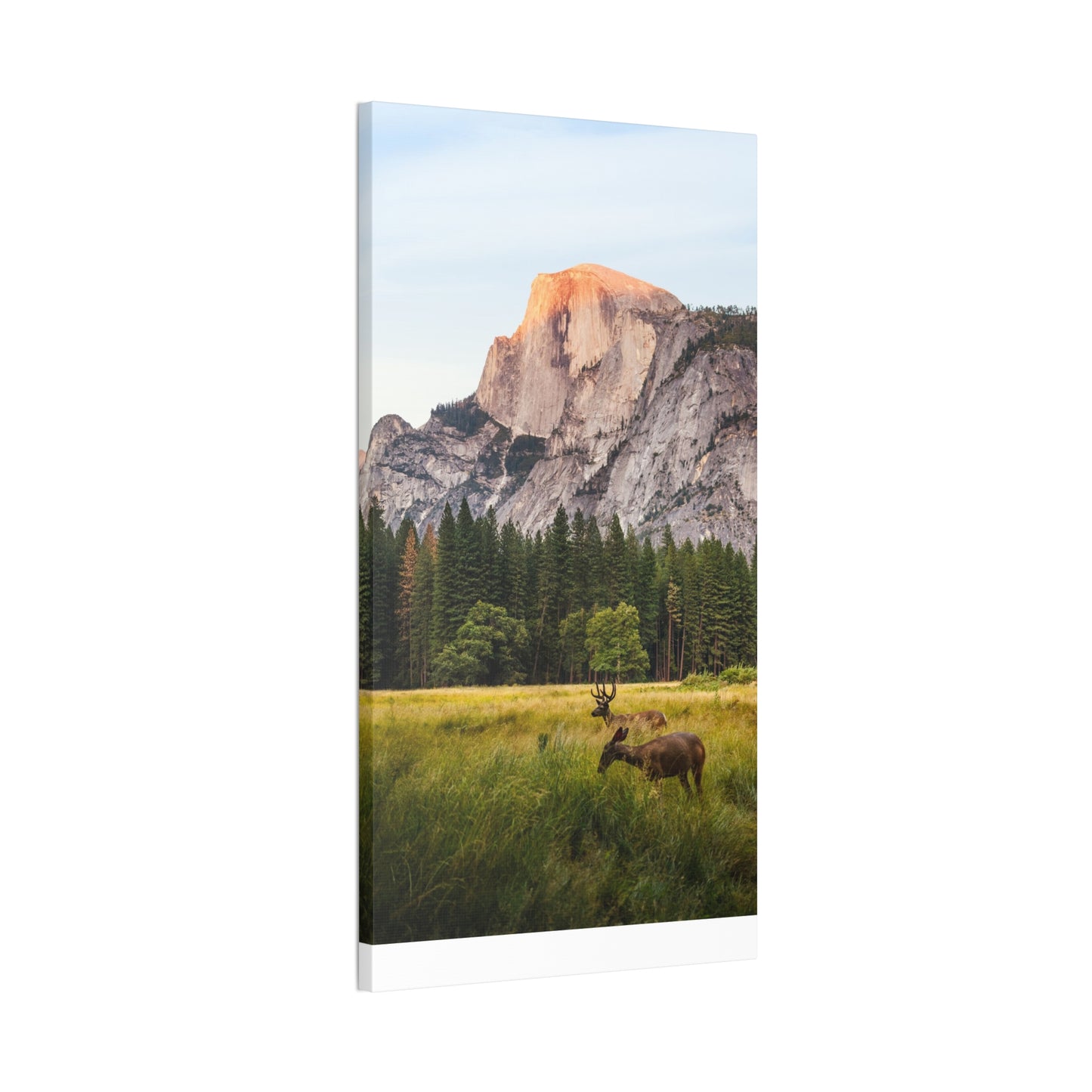 Half Dome Meadow - Canvas Stretched, 0.75"