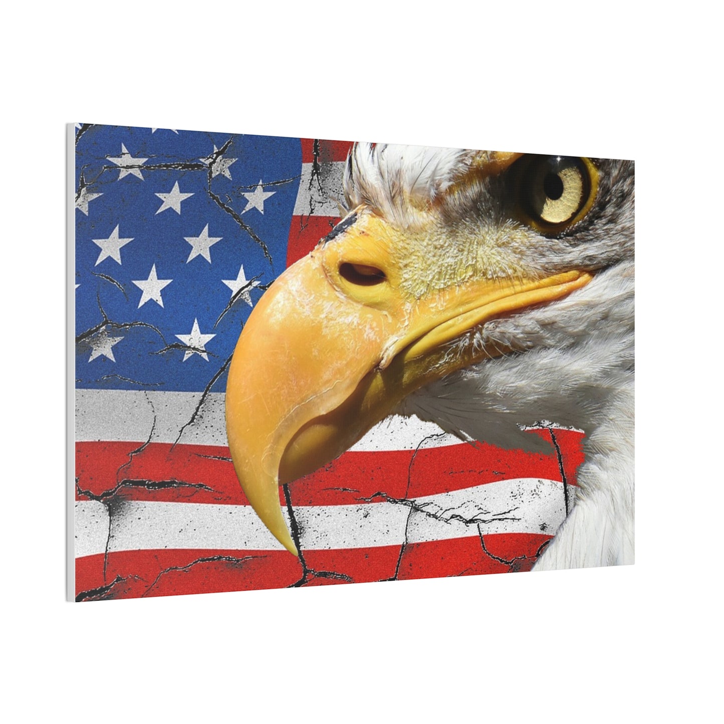 American Eagle - Canvas Stretched, 0.75" -  Military