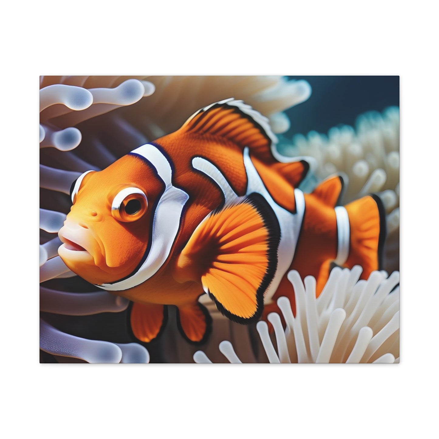 Clown Fish - Canvas Stretched, 0.75"