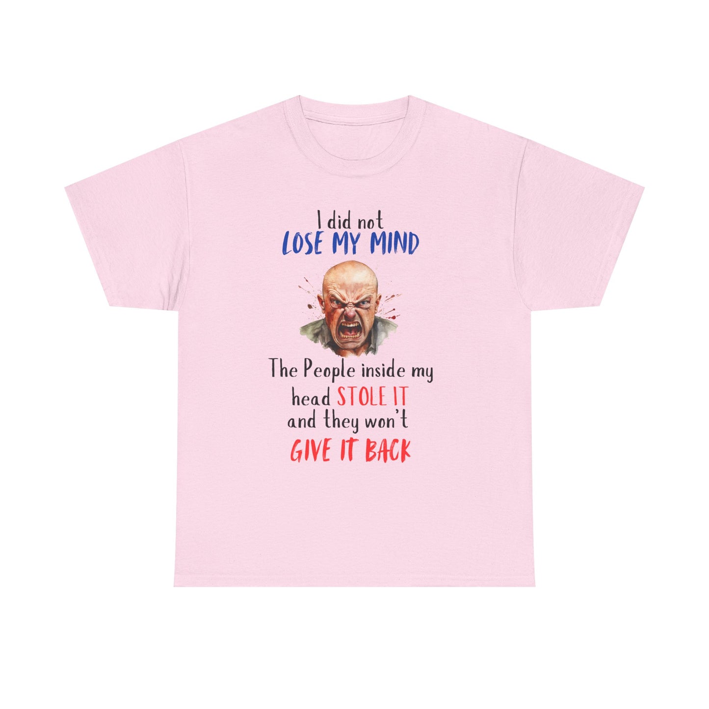 I Did Not Lose My Mind - Funny Unisex Heavy Cotton T-Shirt