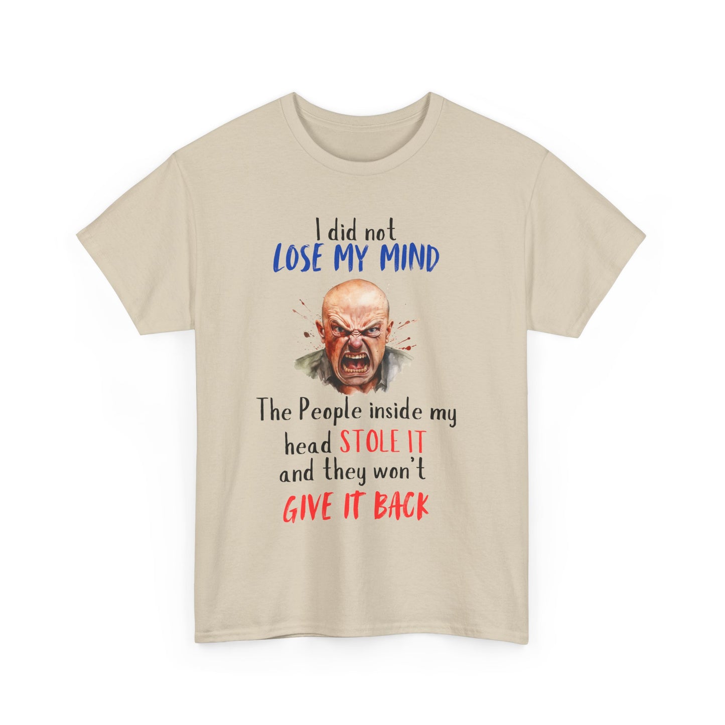 I Did Not Lose My Mind - Funny Unisex Heavy Cotton T-Shirt