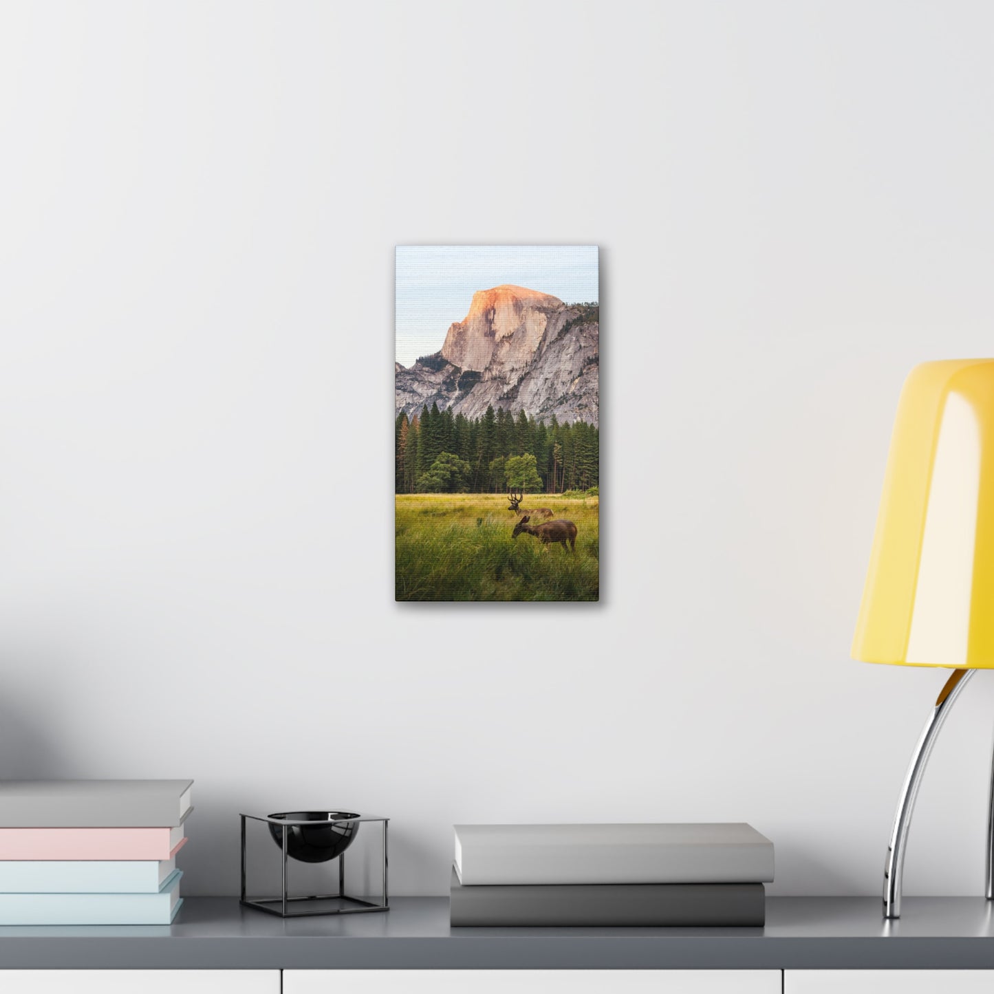 Half Dome Meadow - Canvas Stretched, 0.75"