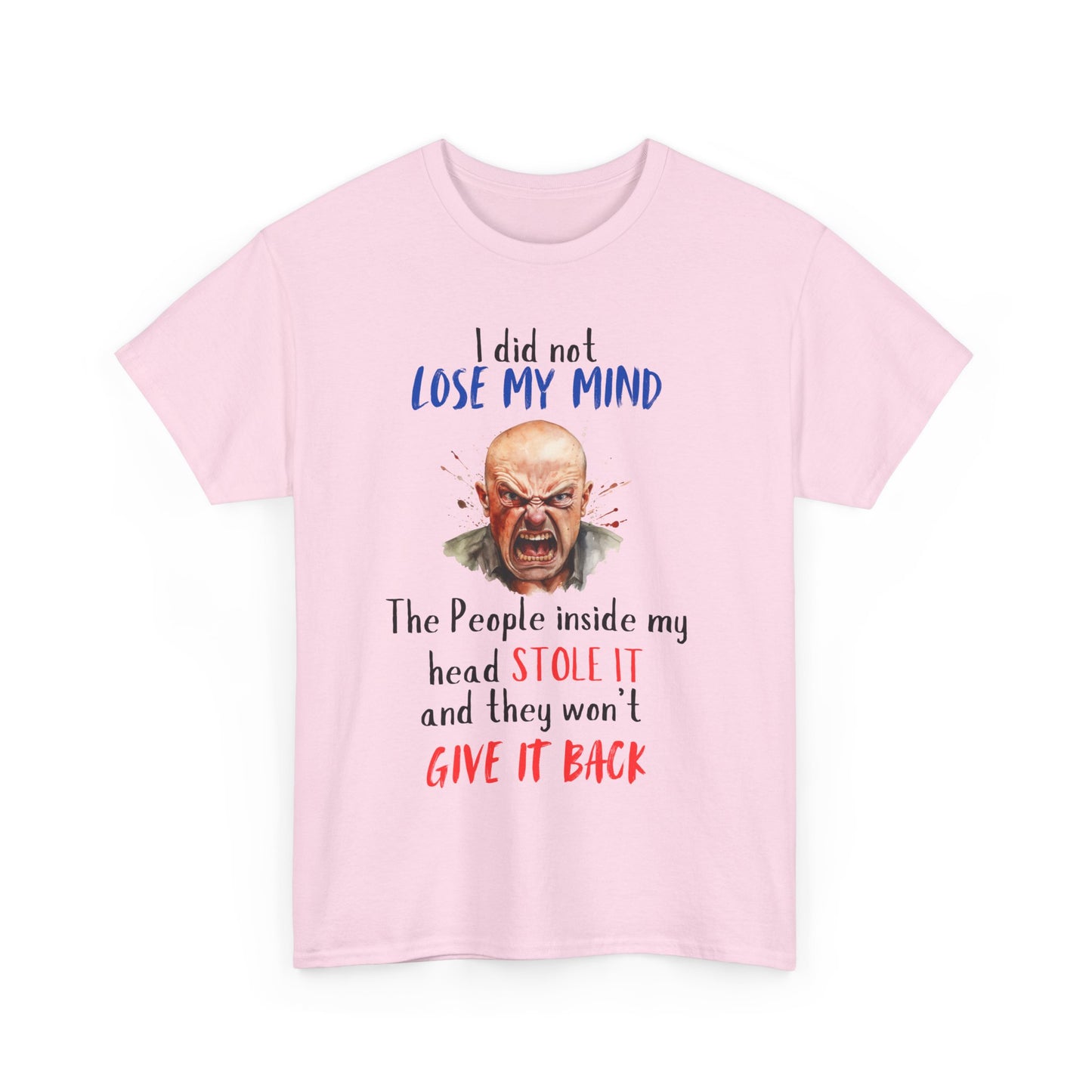 I Did Not Lose My Mind - Funny Unisex Heavy Cotton T-Shirt