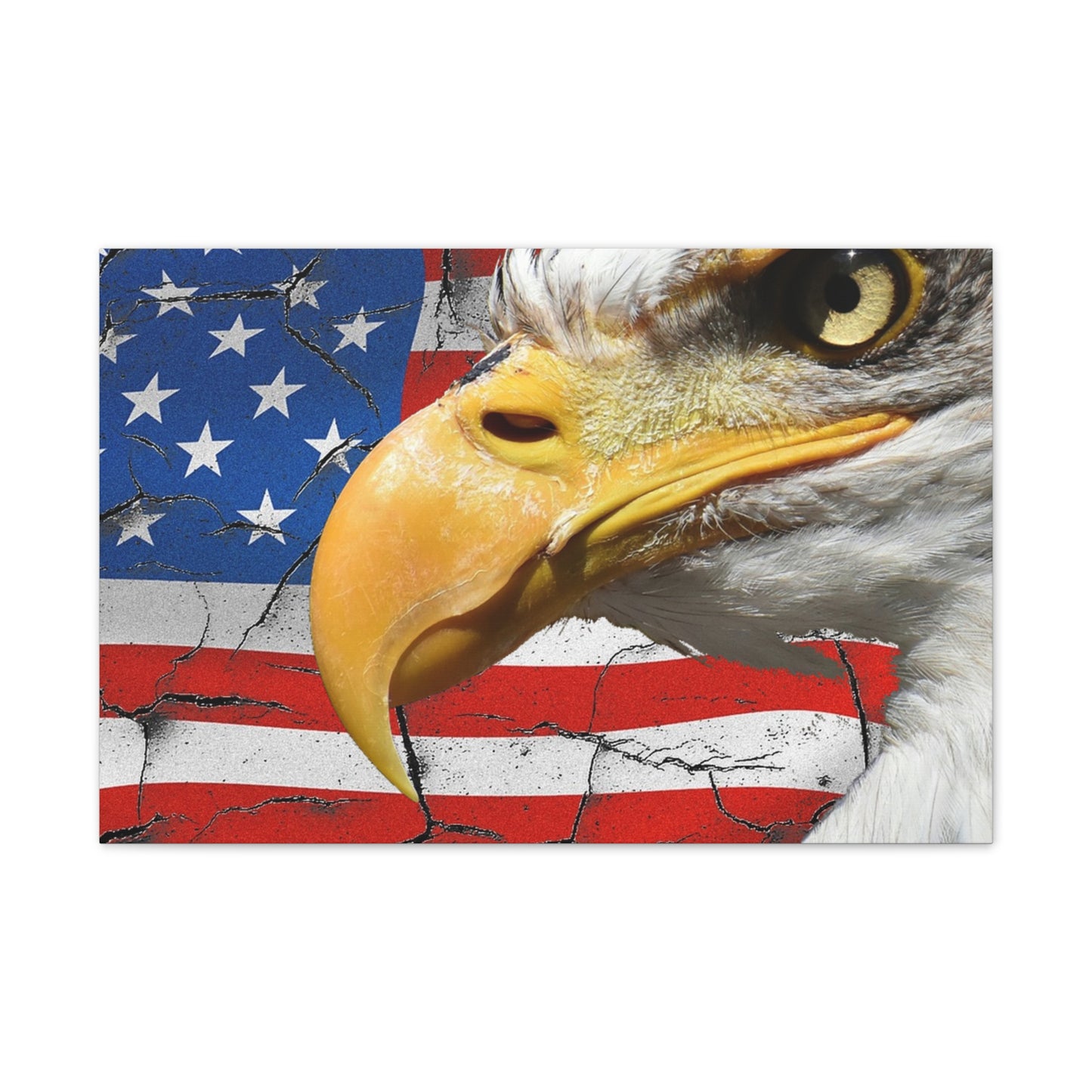 American Eagle - Canvas Stretched, 0.75" -  Military