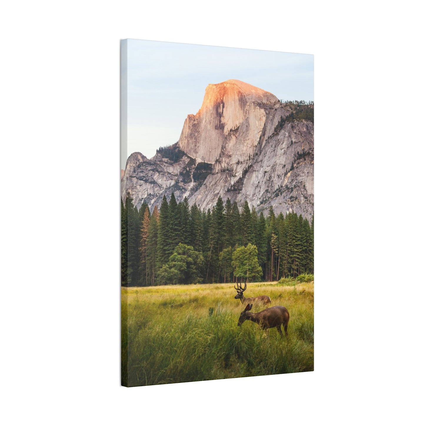 Half Dome Meadow - Canvas Stretched, 0.75"