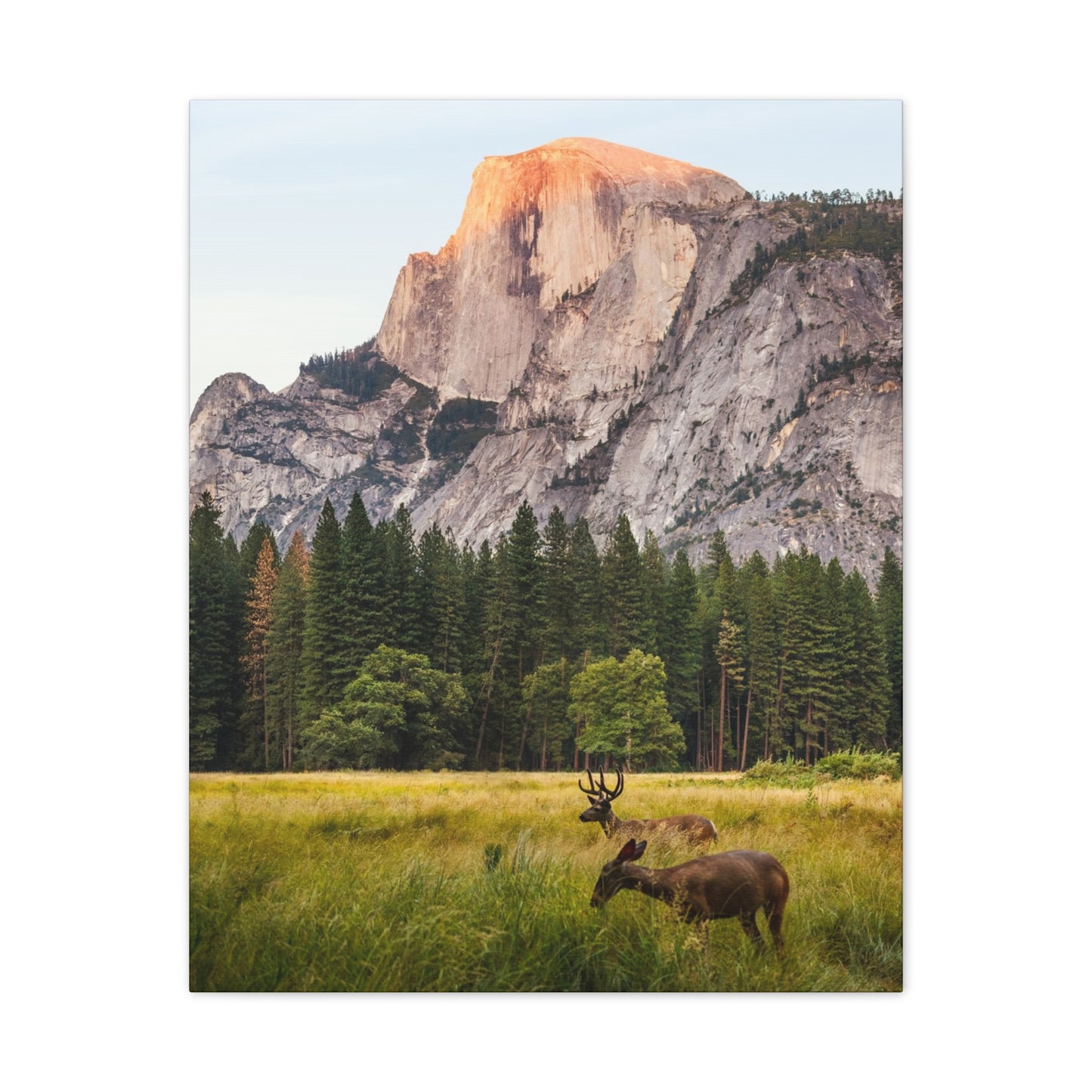 Half Dome Meadow - Canvas Stretched, 0.75"