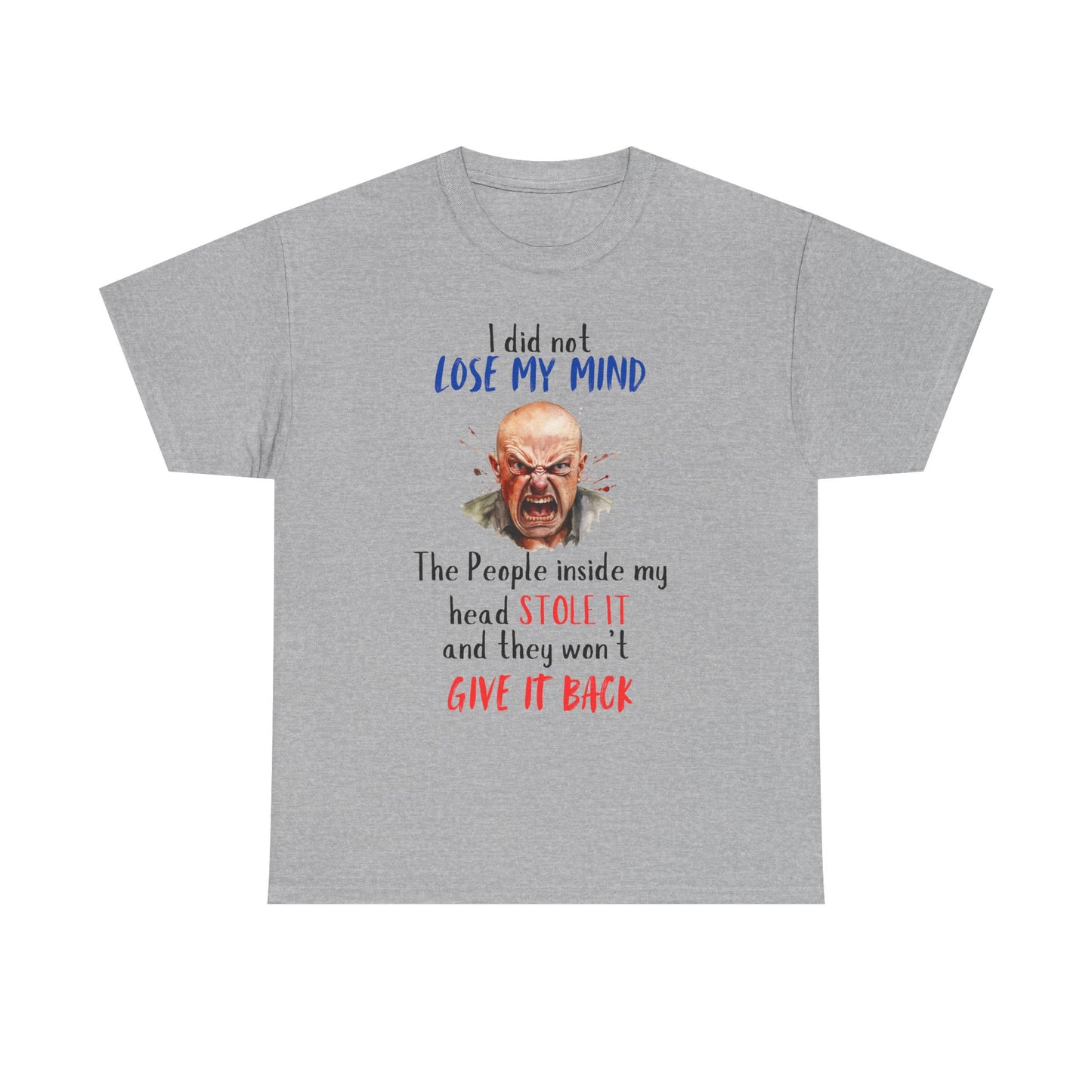 I Did Not Lose My Mind - Funny Unisex Heavy Cotton T-Shirt