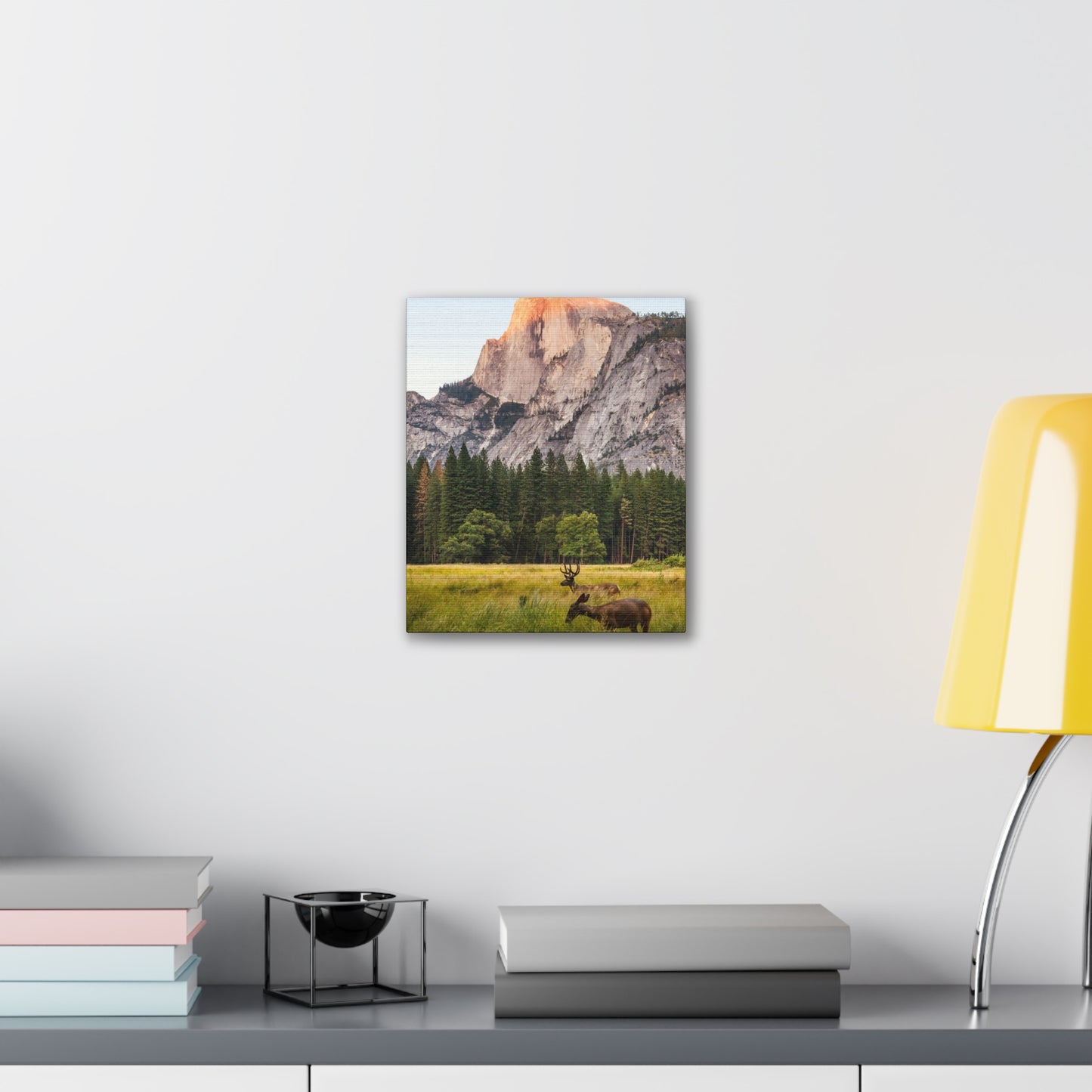 Half Dome Meadow - Canvas Stretched, 0.75"