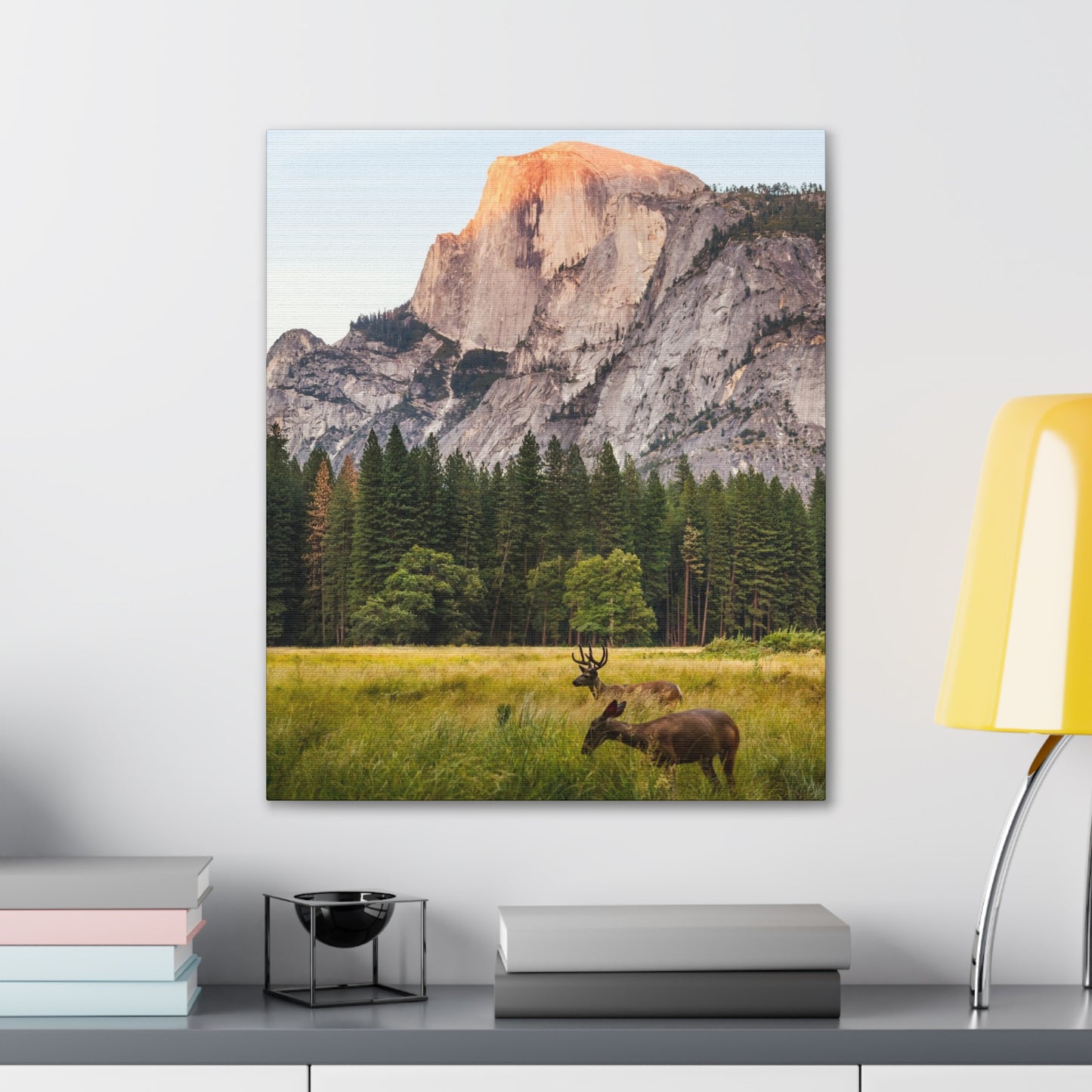 Half Dome Meadow - Canvas Stretched, 0.75"