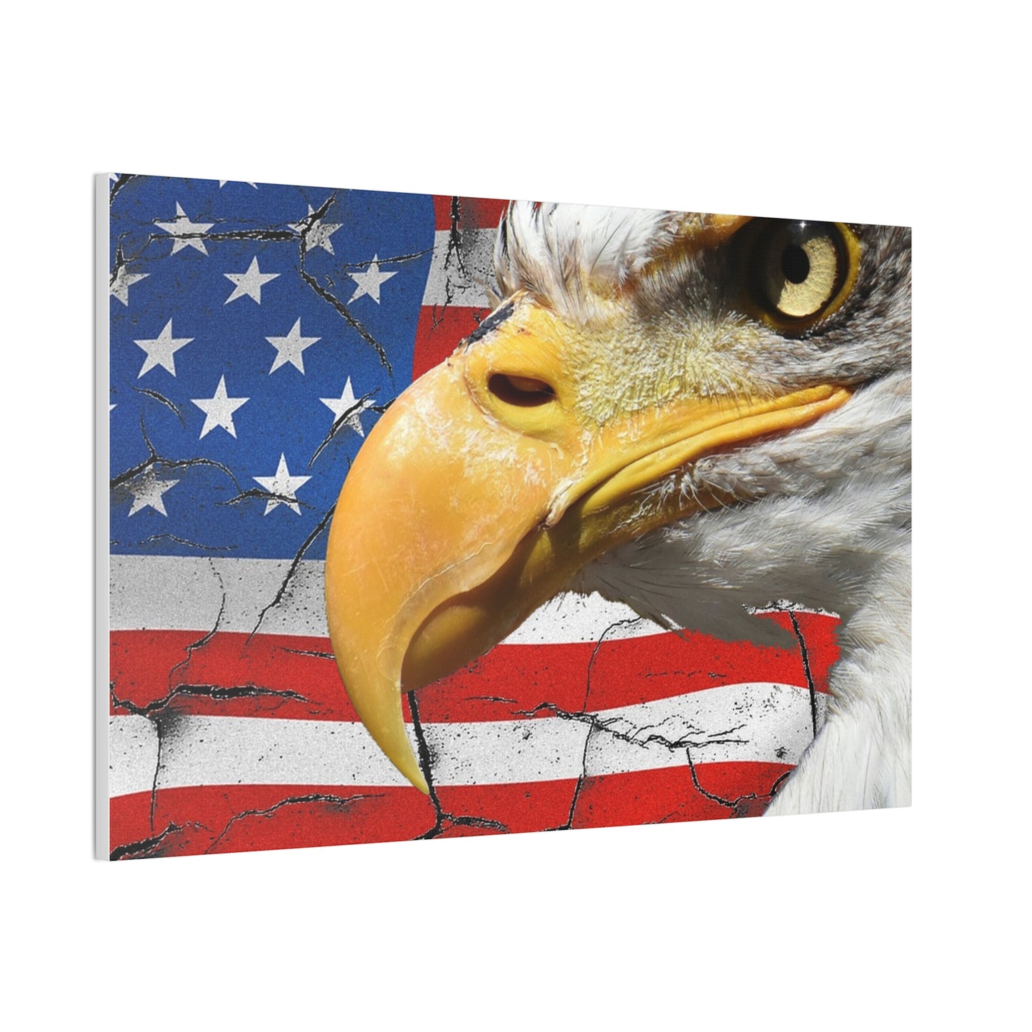 American Eagle - Canvas Stretched, 0.75" -  Military