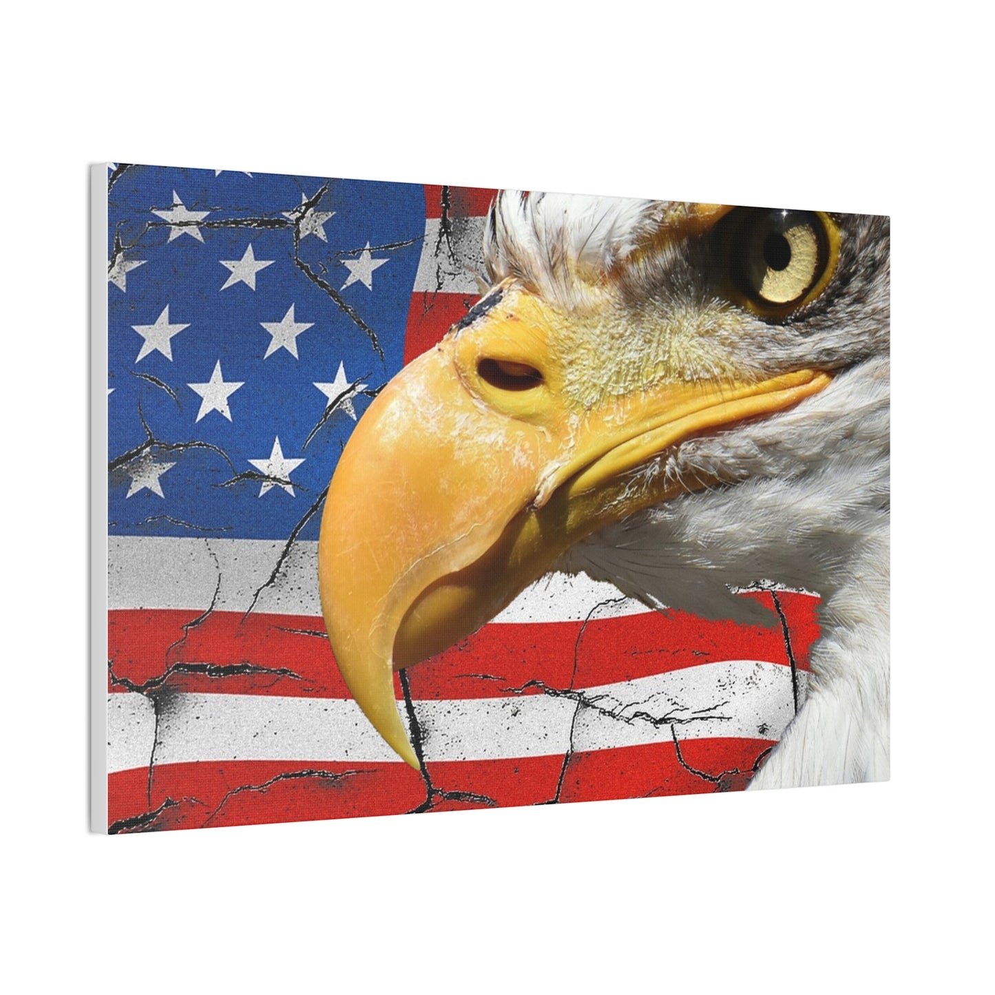 American Eagle - Canvas Stretched, 0.75" -  Military