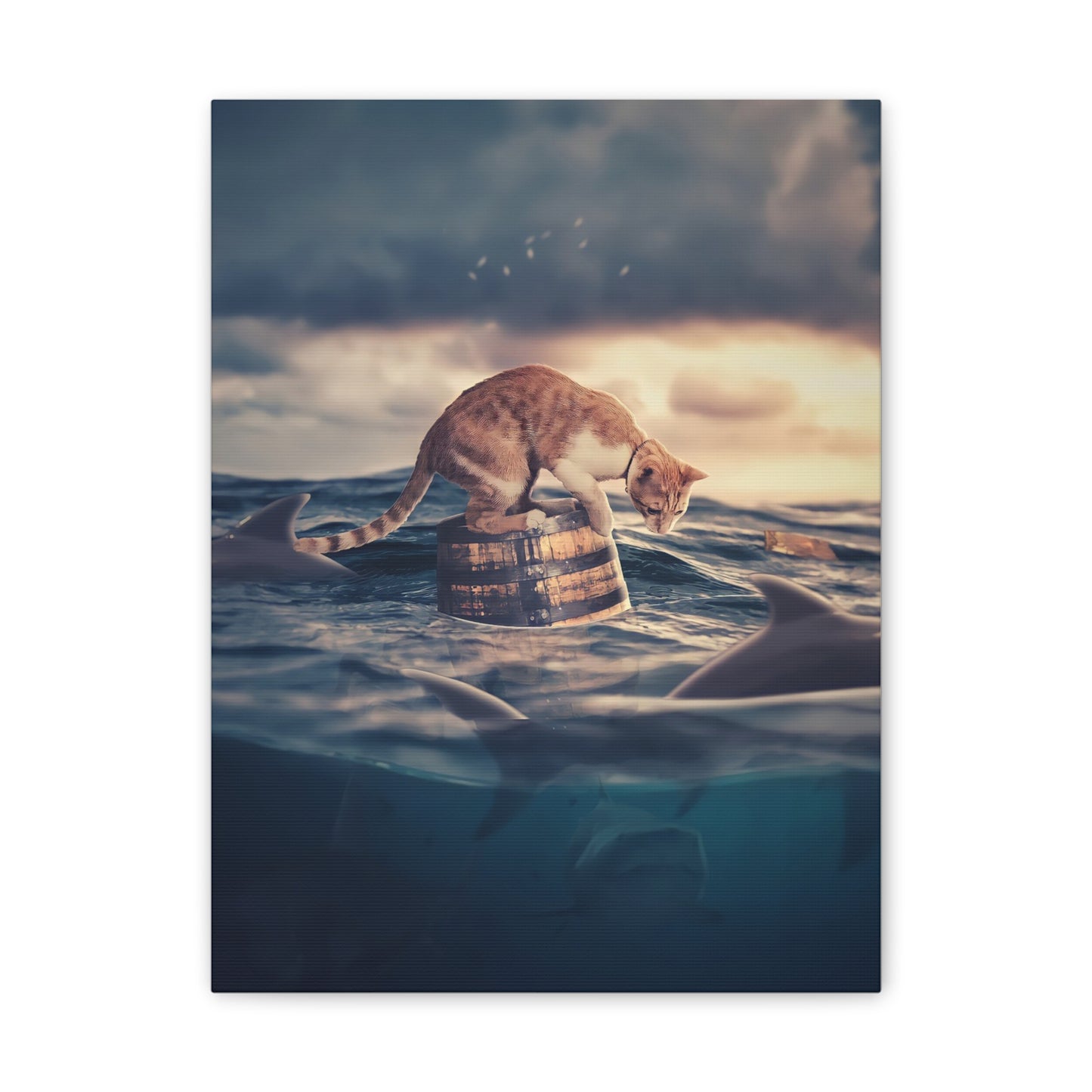 Stranded Cat - Canvas Stretched, 0.75"