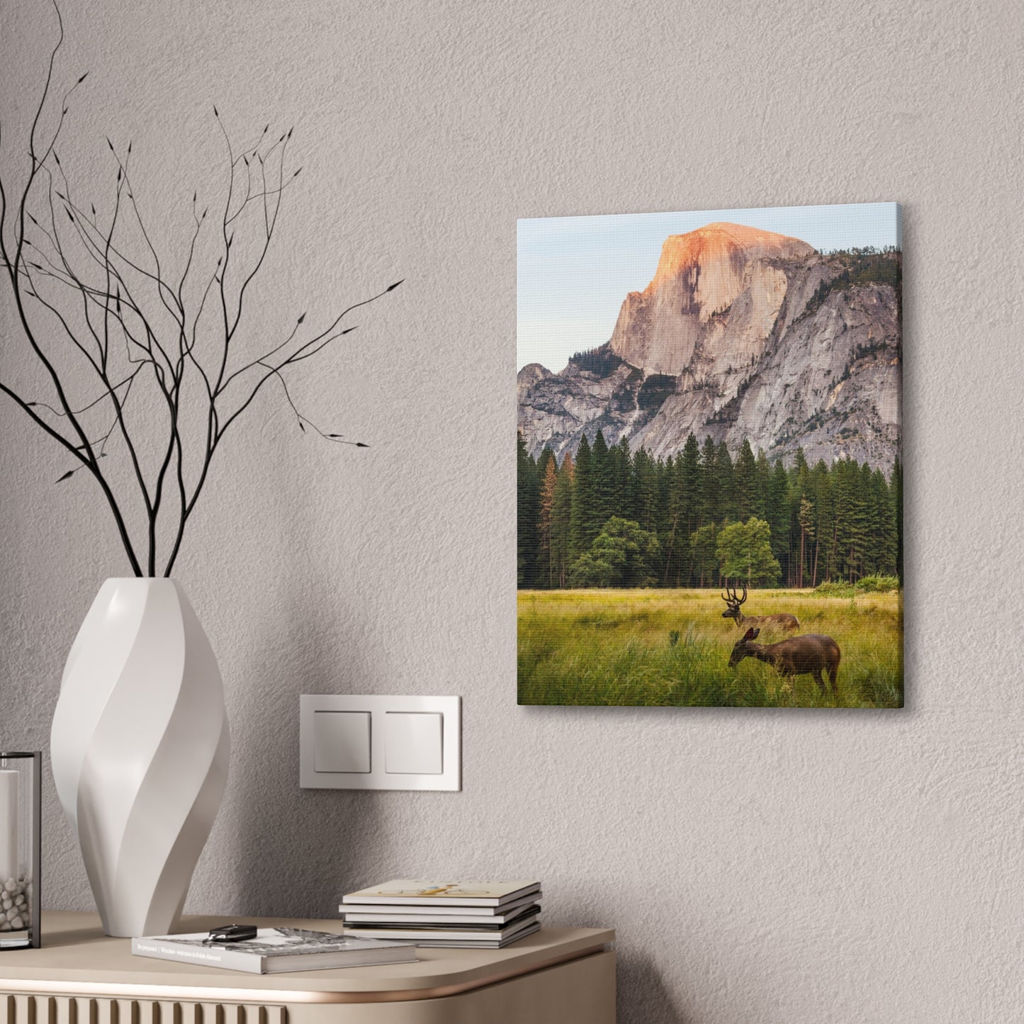 Half Dome Meadow - Canvas Stretched, 0.75"