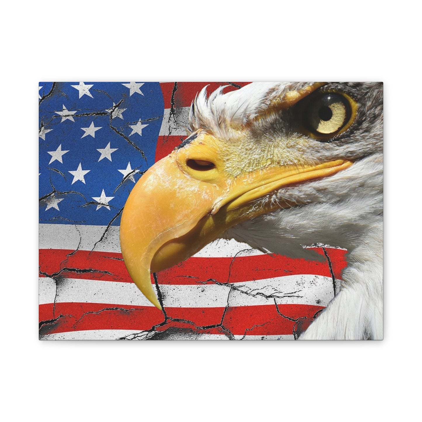 American Eagle - Canvas Stretched, 0.75" -  Military