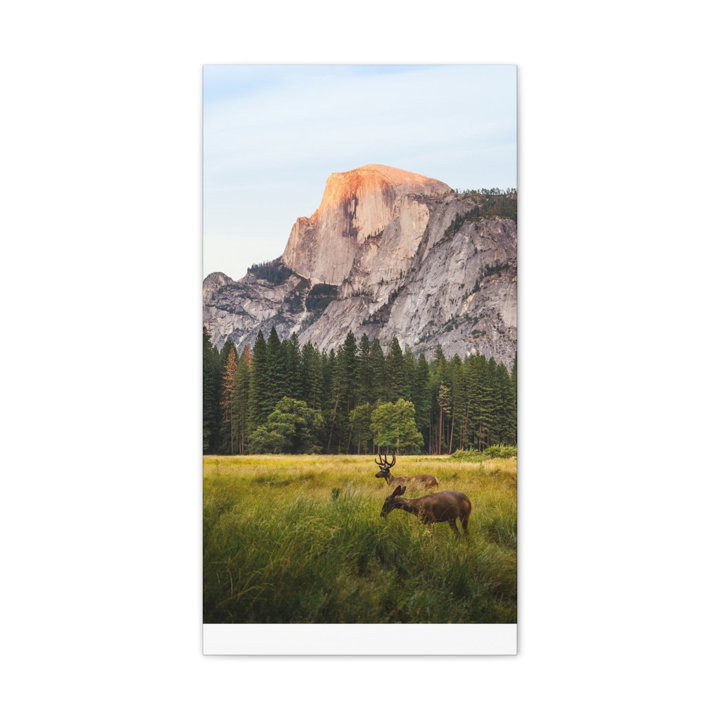 Half Dome Meadow - Canvas Stretched, 0.75"