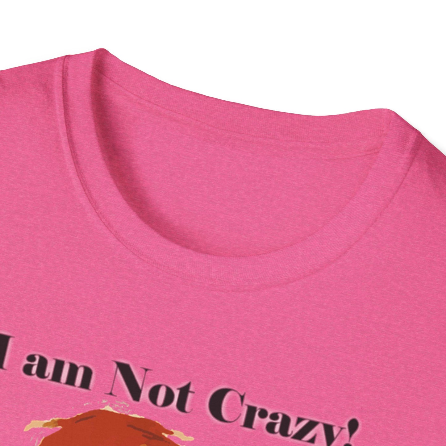 I am not Crazy - Unisex Softstyle T-Shirt