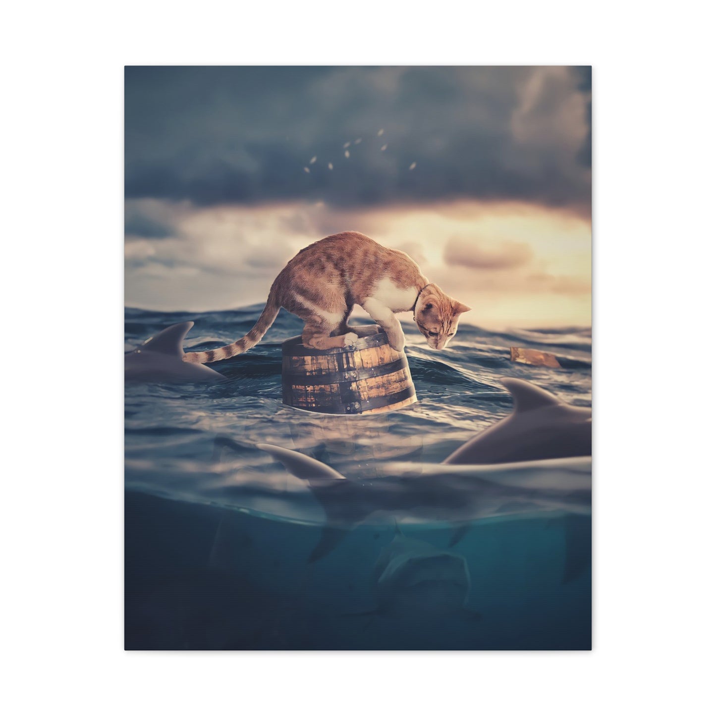 Stranded Cat - Canvas Stretched, 0.75"