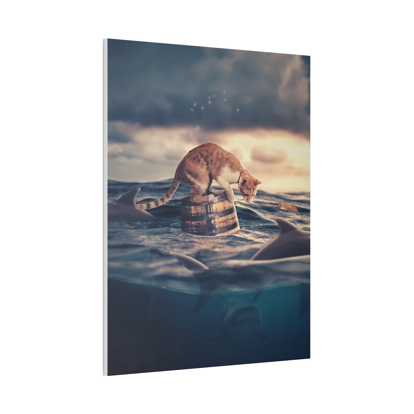 Stranded Cat - Canvas Stretched, 0.75"