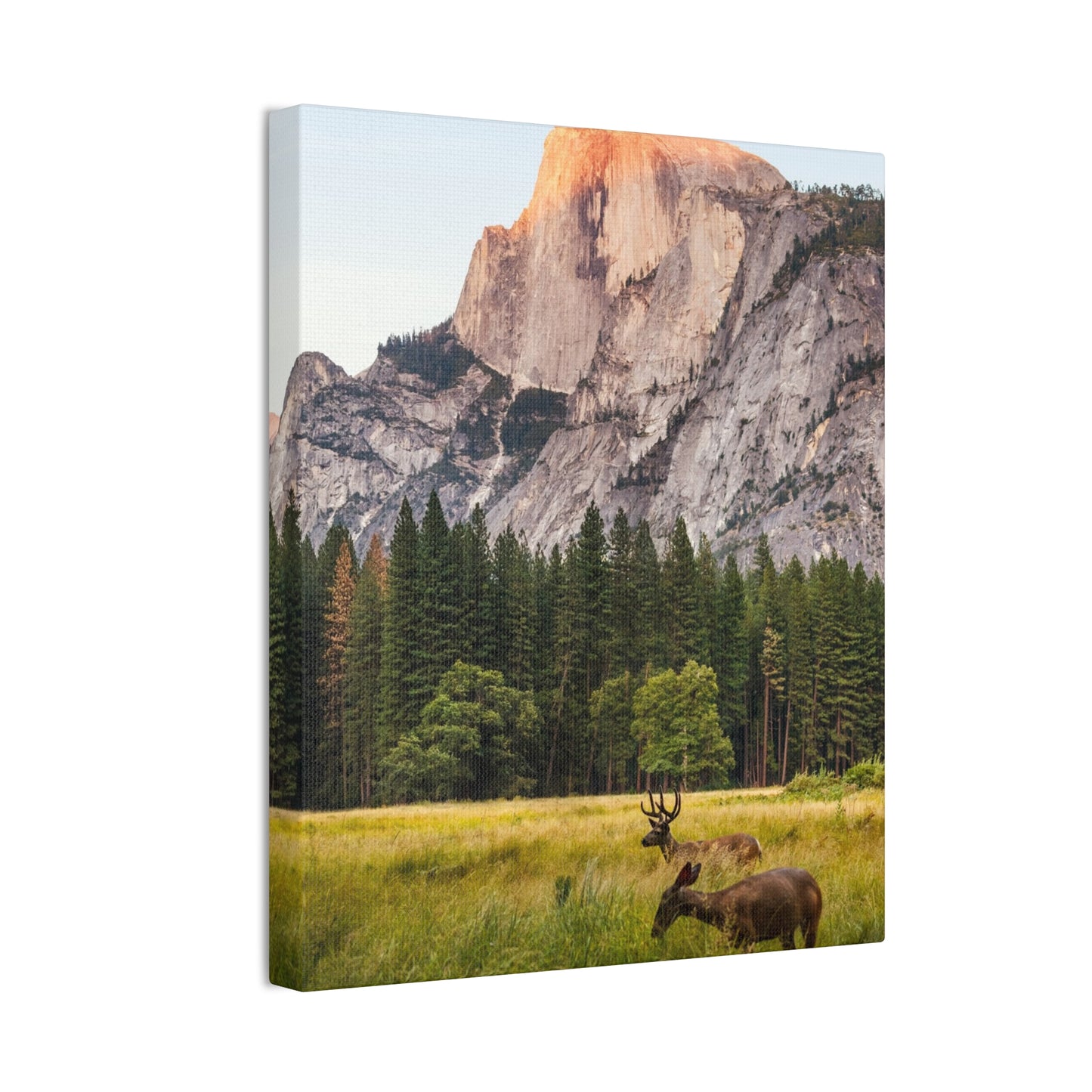 Half Dome Meadow - Canvas Stretched, 0.75"